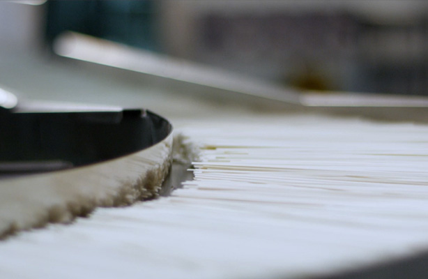 ����Ϊʲô�����棿��������