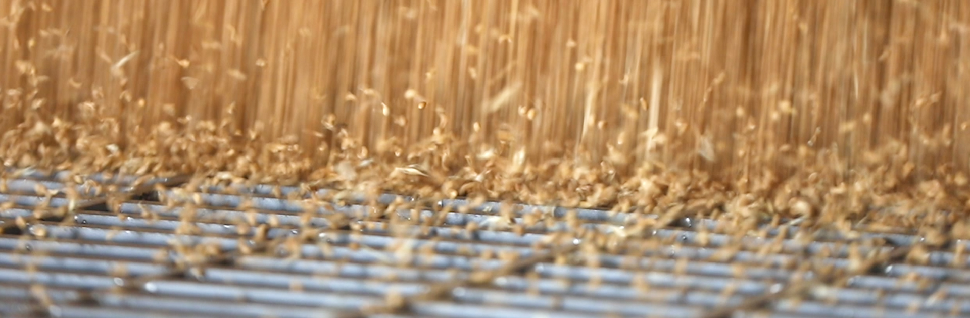 888�ڲ���-����Ϊ��,רҵ����